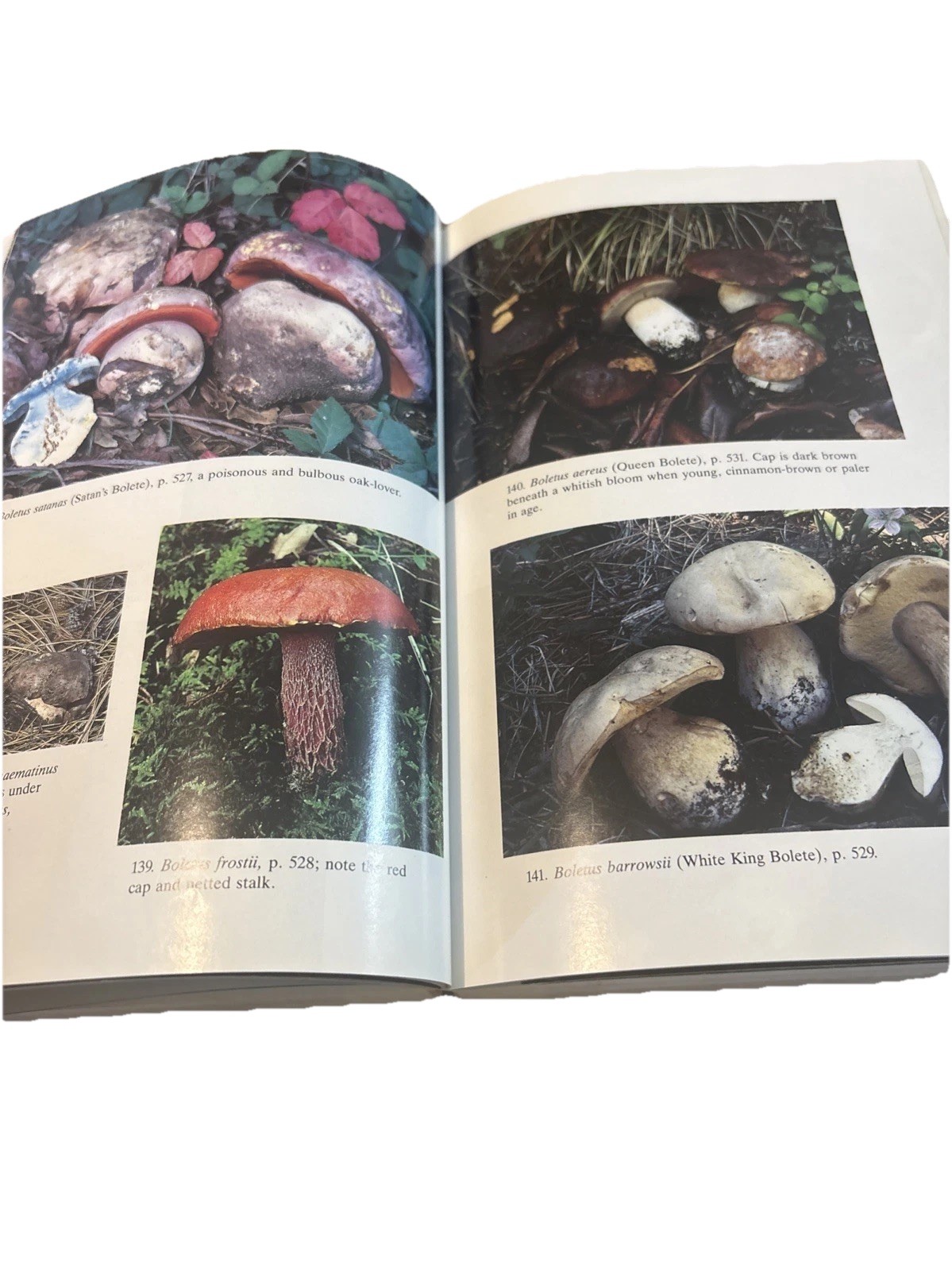 Mushrooms Demystified PB Heavy Wear/Stitched Binding Fair/Few Text Marks