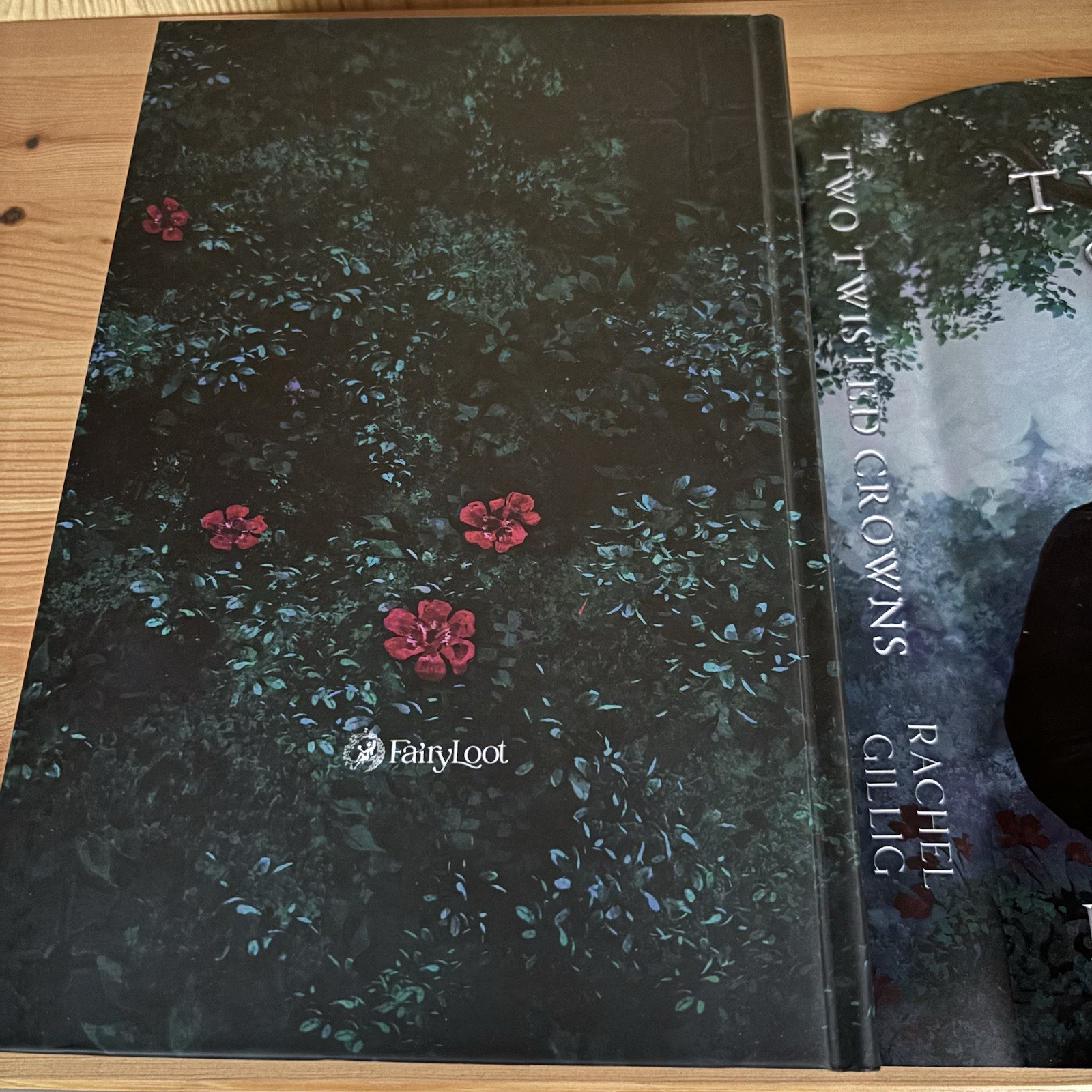 Fairyloot Exclusive One Dark Window & Two Twisted Crowns Hardcover Rachel Gillig