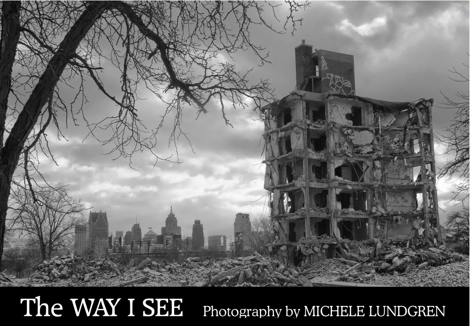 The WAY I SEE Brand New Michele Lundgren Detroit Photojournalist 174 pages 2026