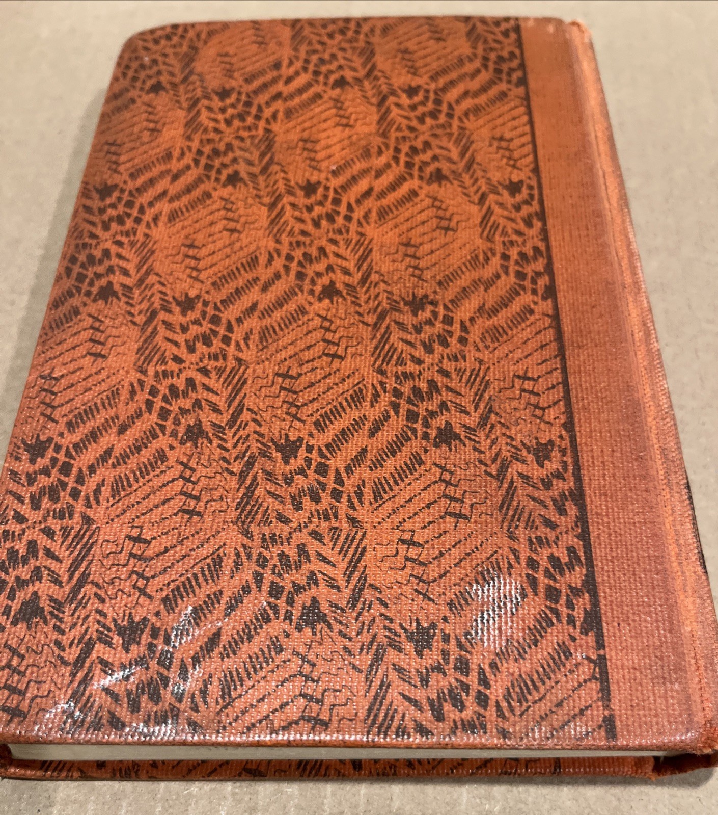 That Darned Minister’s Son Haydn Pearson 1950 Doubleday HC Book Rare 1st Edition
