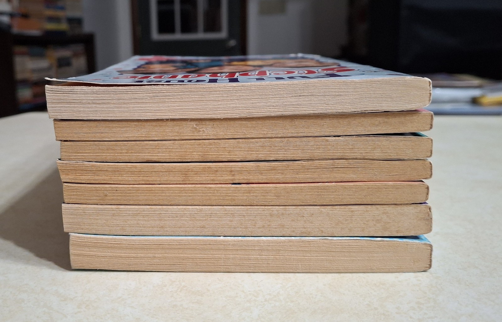 Full House Books Lot Vintage 1990s Stephanie Michelle Paperbacks Novels Chapter