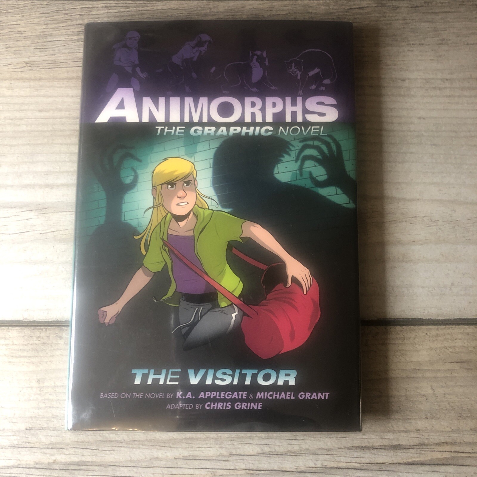 The Visitor Animorphs Graphix #2 Hardcover K. A., Grant