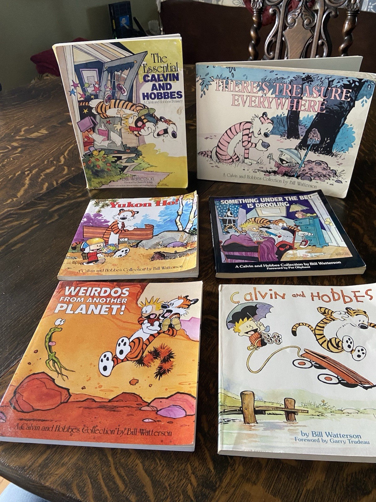 A Calvin and Hobbes Collection by Bill Watterson Lot Of 6 TPB Good FREE S/H