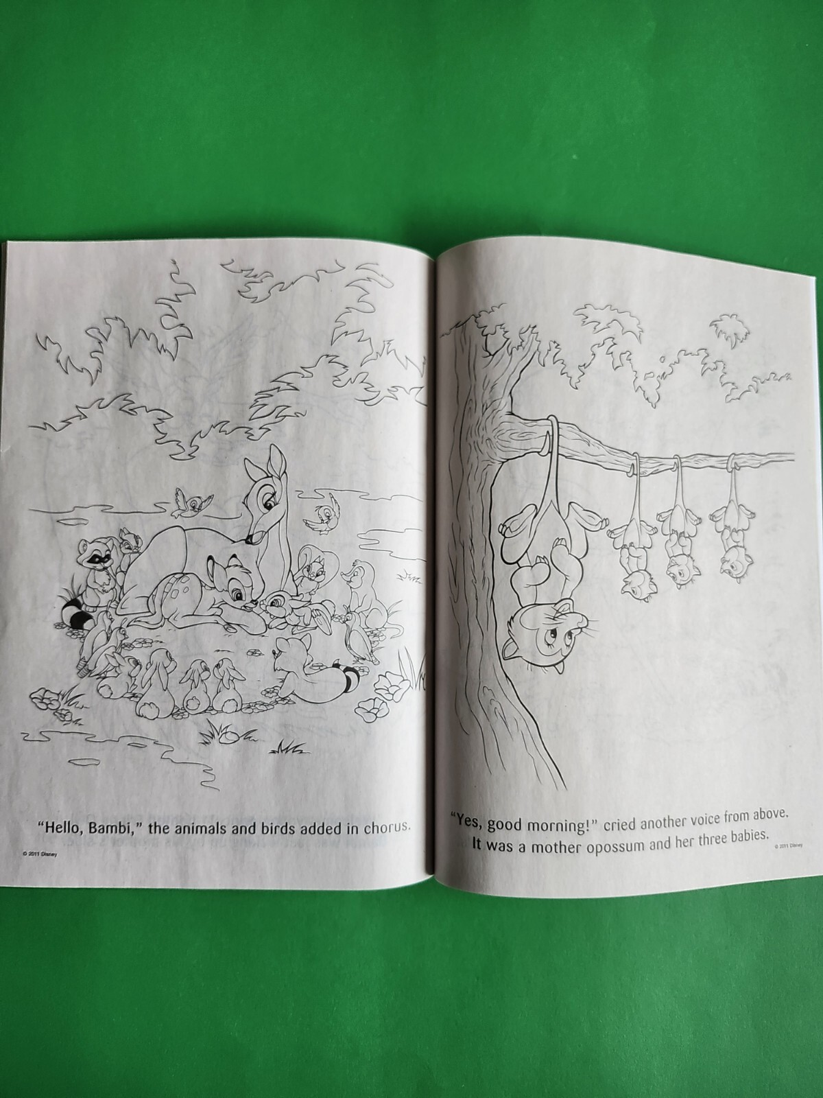 Disney Animal Friends Big Fun Coloring Book Tear Share 80 Pages