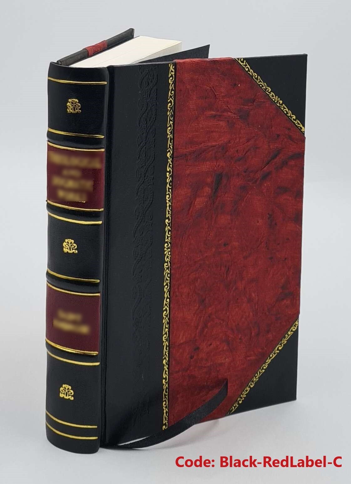 Einleitung in die Religionswissenschaft 1899 by Cornelis Petrus [Leather Bound]