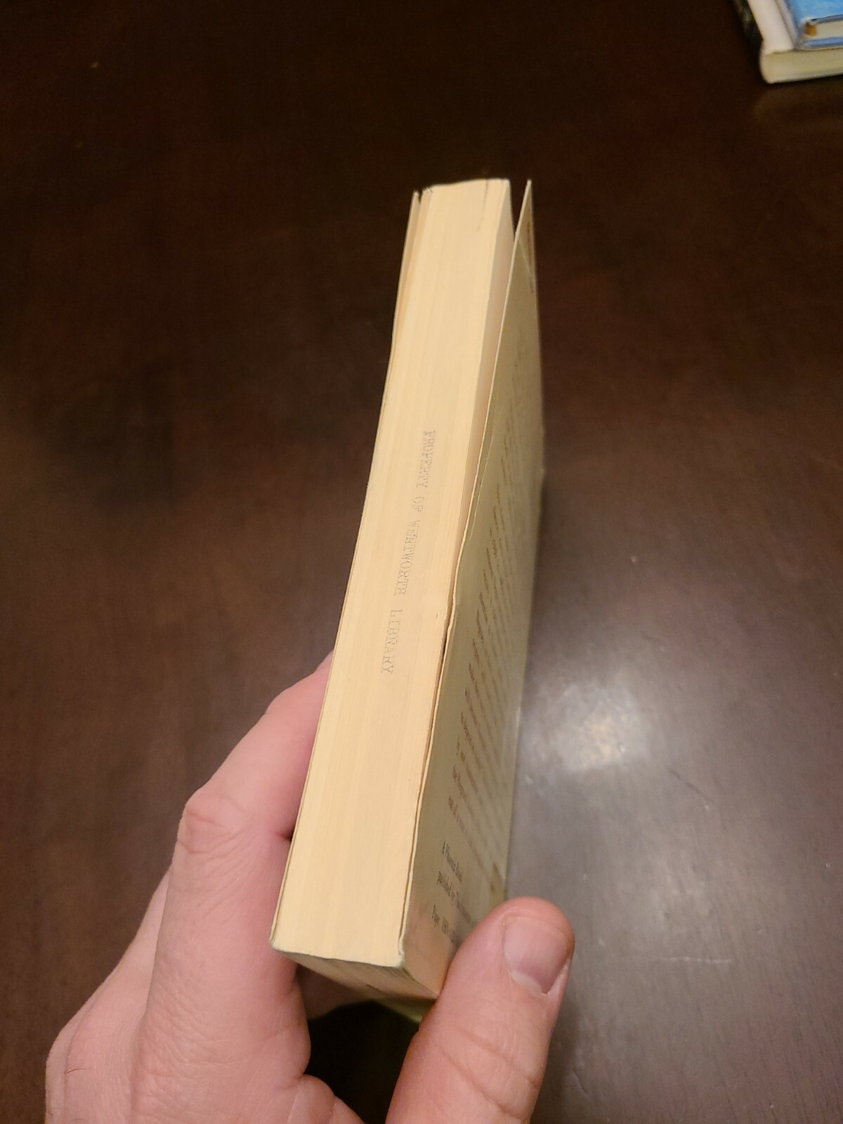 The Negro Family in the United States by E. Franklin Frazier, Revised, 1973, PB