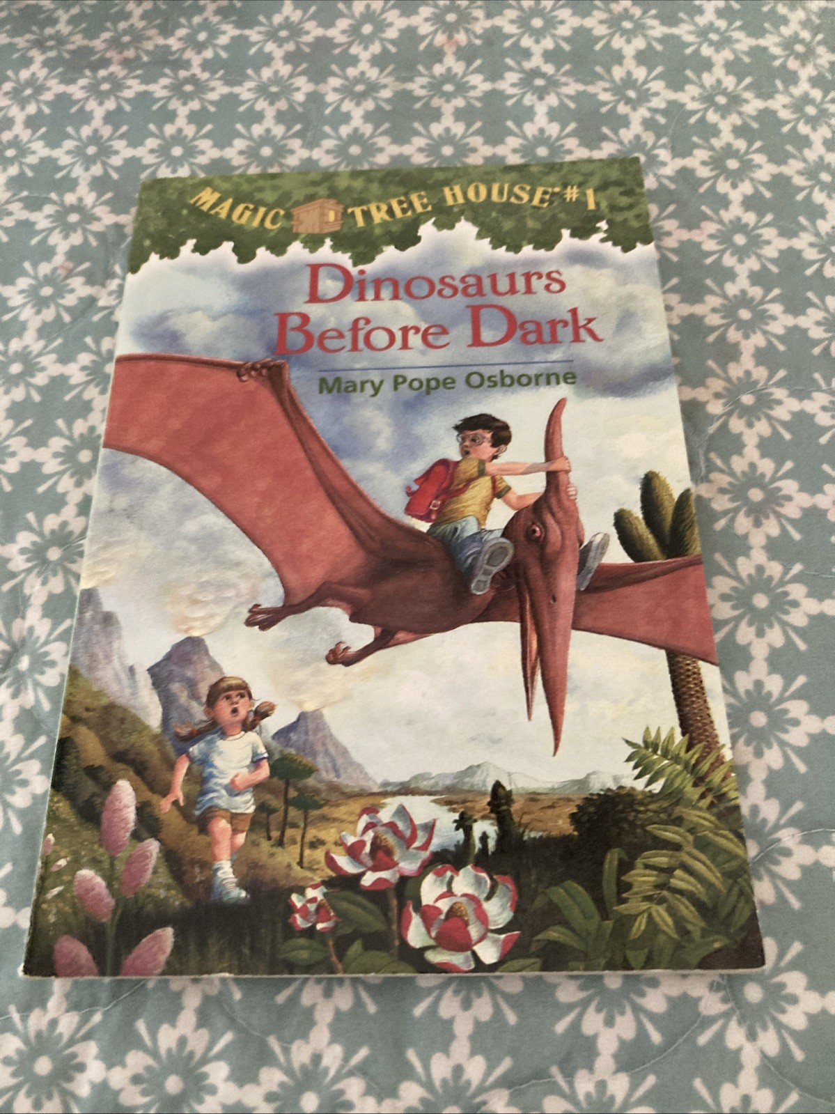 Dinosaurs Before Dark by Mary Pope Osborne (1992, Digest Paperback)