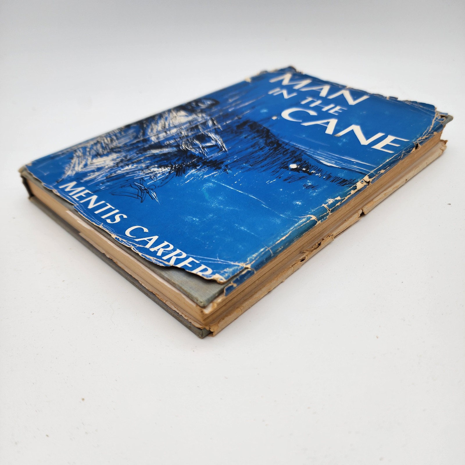 Man in the Cane Mentis Carrere 1956 First Edition Fiction Novel Vantage Press