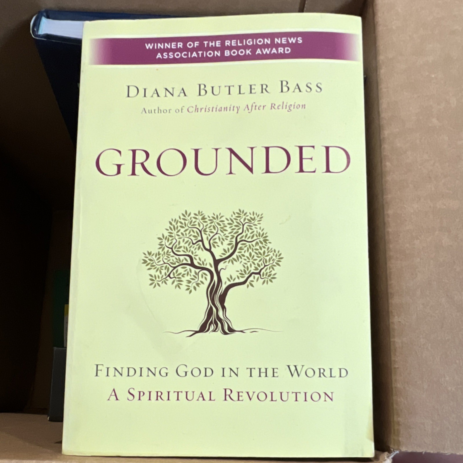 Grounded: Finding God in the World Diana Butler Bass HarperOne Paperback Book