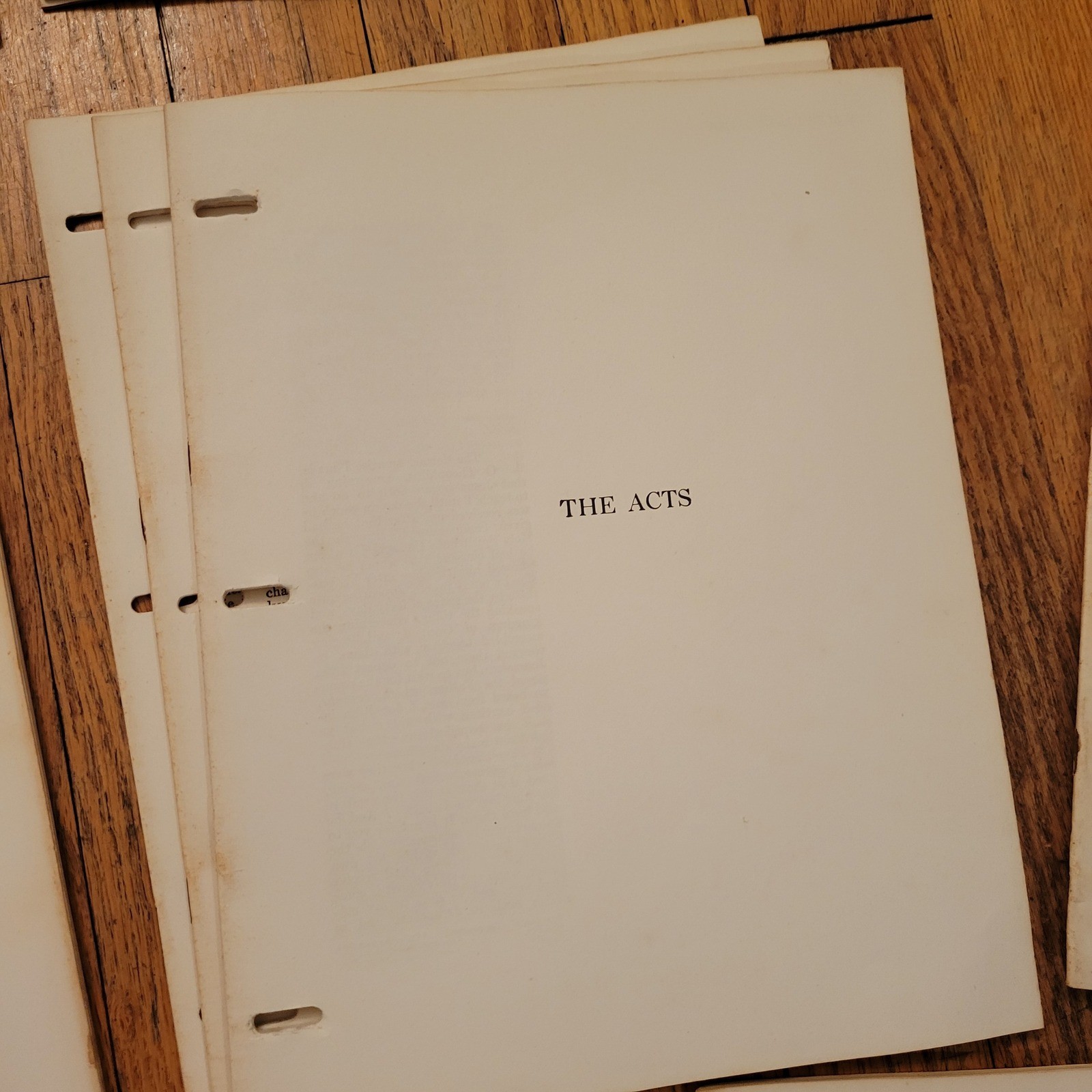 American Bible Society New Testament Wide Margin Loose Leaf Pages INCOMPLETE