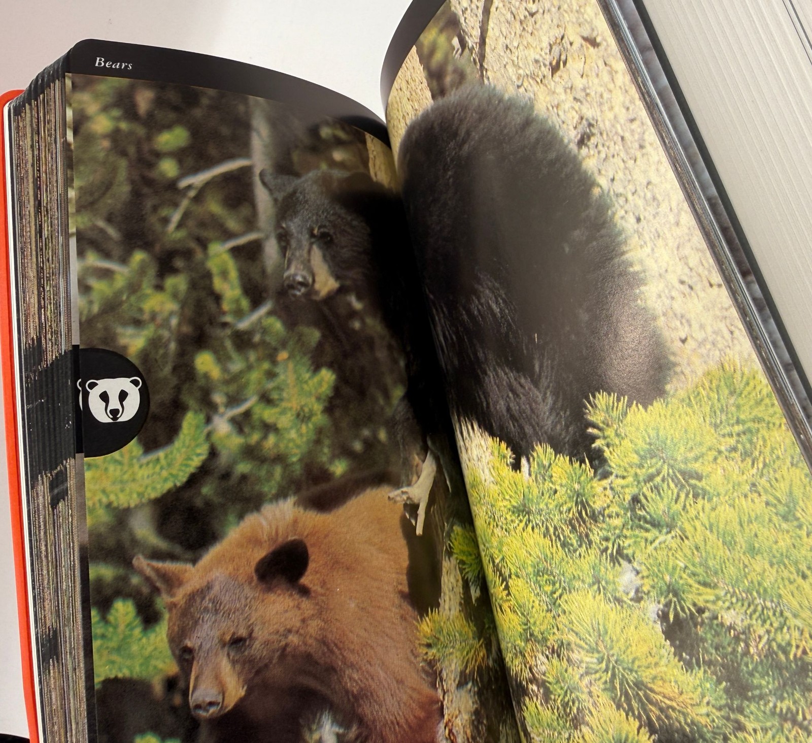 The Audubon Society Field Guide Set Fish Whales Dolphins North American Mammals