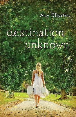 Destination Unknown – 9780310736691, paperback, Amy Clipston