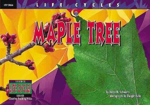 Maple Tree (Life Cycles) – Paperback By Schwartz, David M – VERY GOOD