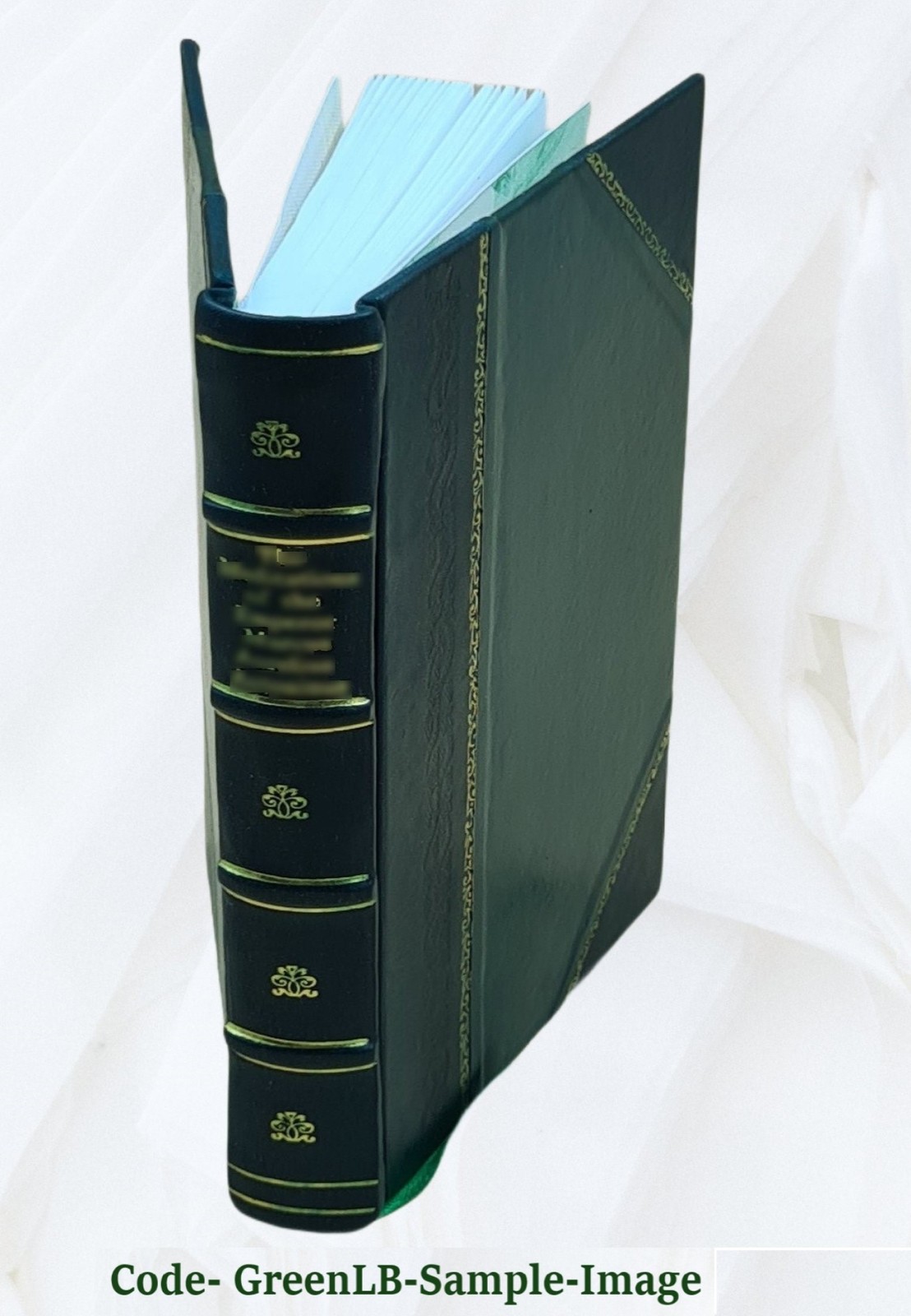 Dear Enemy 1915 By Jean Webster [Leather Bound]