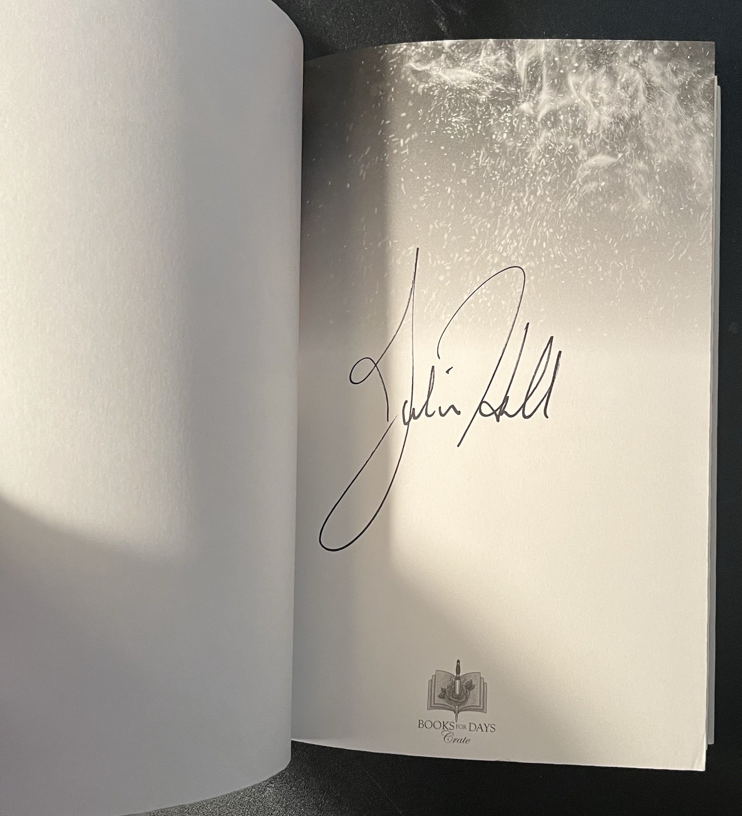 Books For Days Crate Book Box Fallen Legacies Series Signed Julie Hall 1-4
