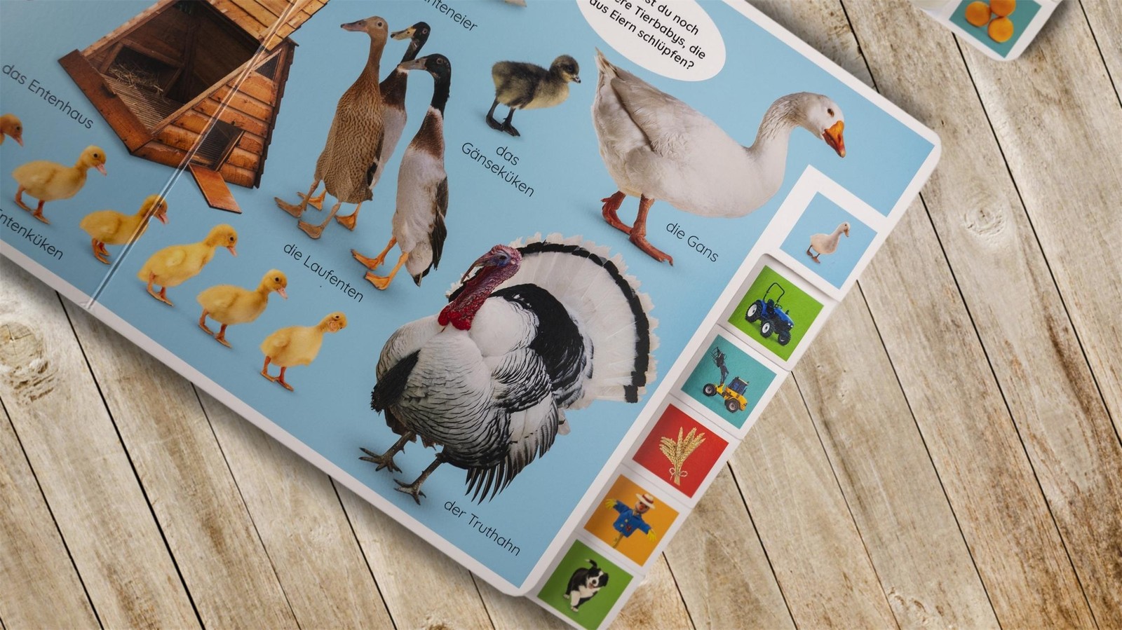 Erstes Lernen. Jahreszeiten DK Verlag – Kids