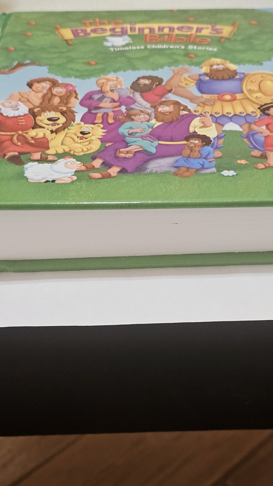The Begginers Kids Bible 511 Pages Hardcover