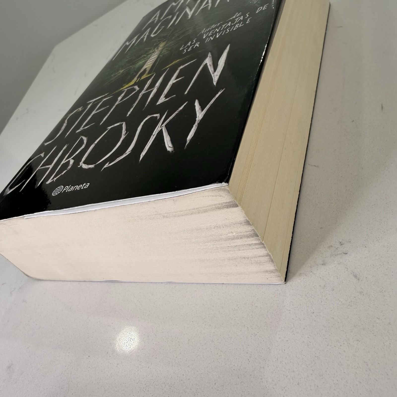 Amigo Imaginario Stephen Chbosky Novela