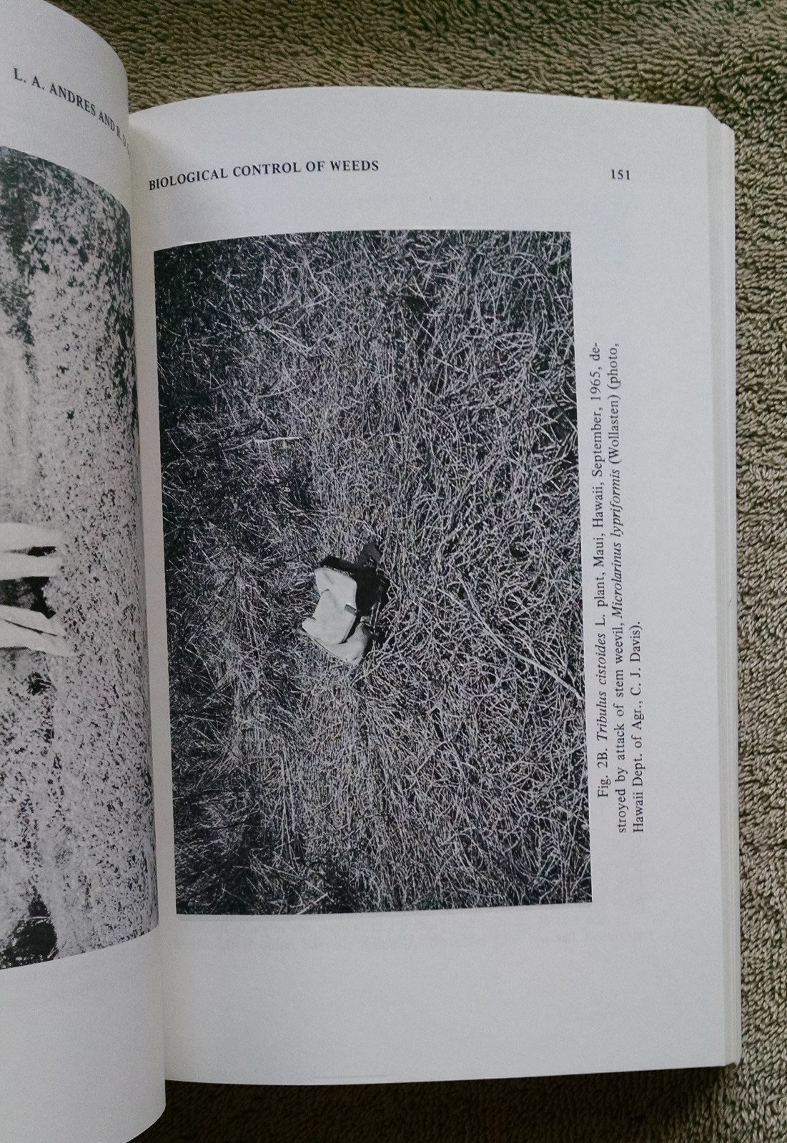 1974 Biological Control Huffaker natural insecticide environment ecology