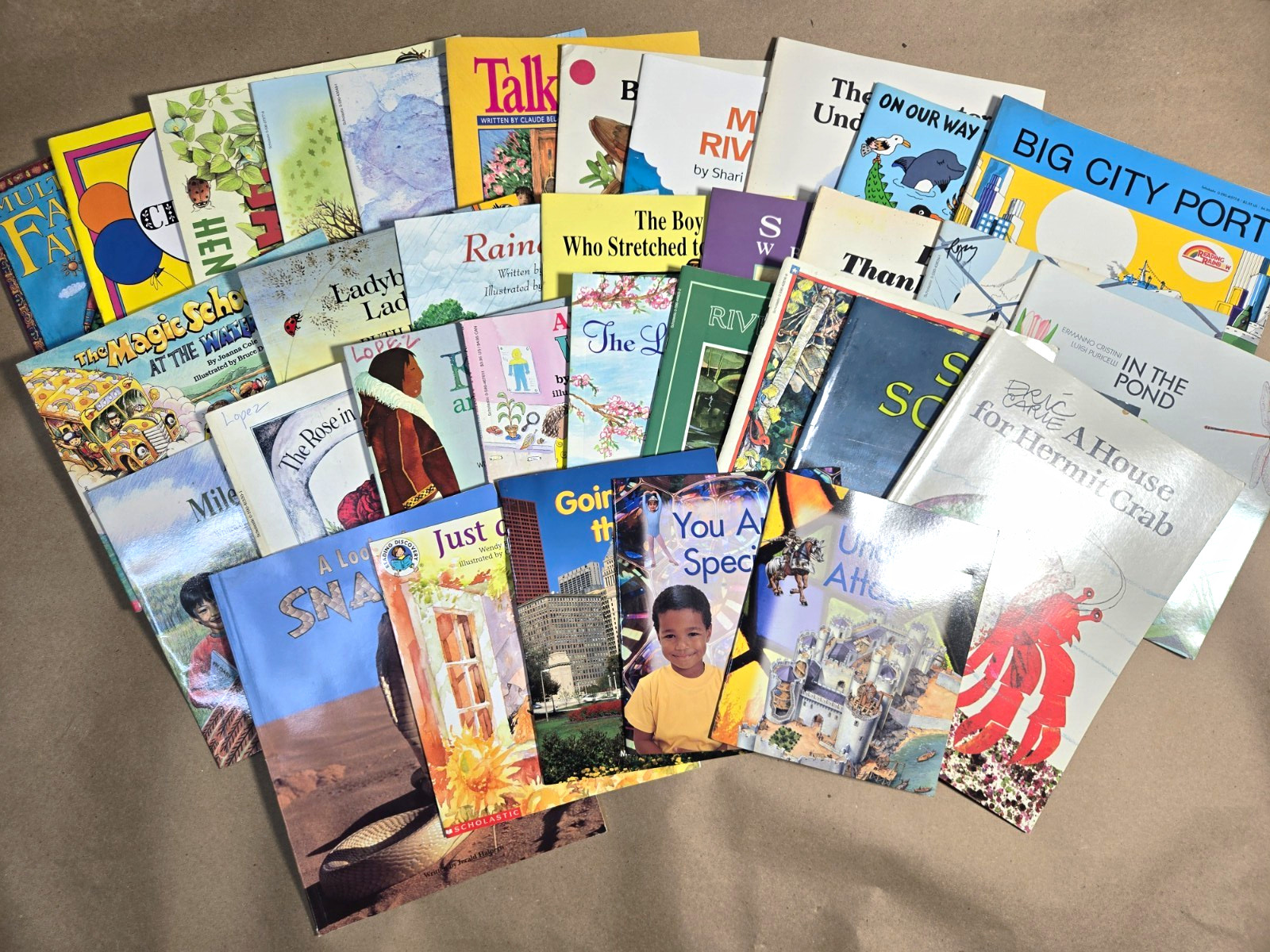 Scholastic Children’s Picture Book Lot of 33 Paperback Illustrated English