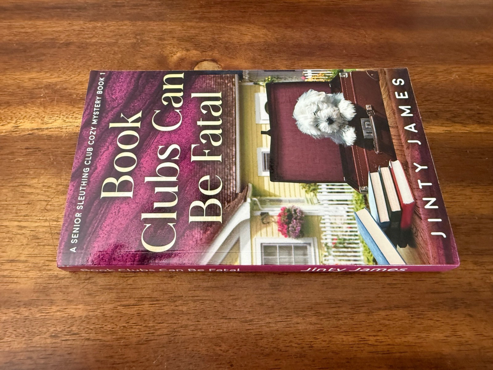 Book Clubs Can Be Fatal: A Senior Sleuthing Club Cozy Mystery (2023, TPB)