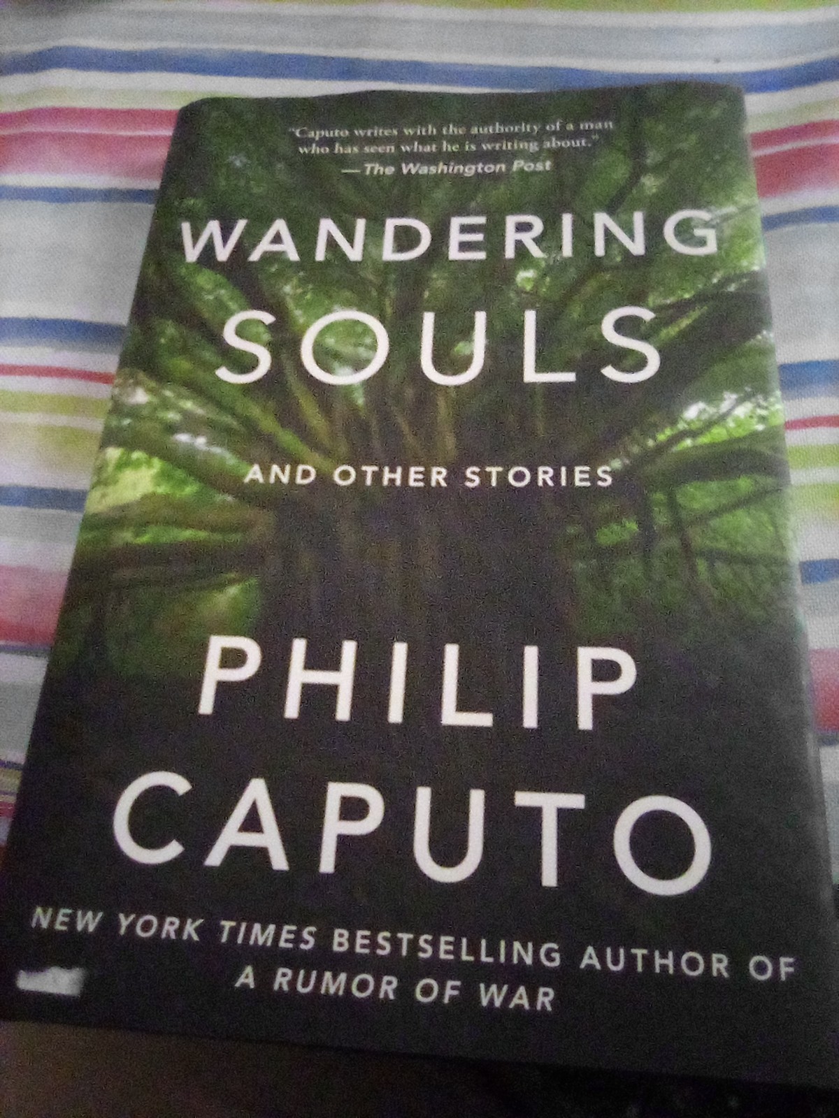 Wandering Souls: And Other Stories Philip Caputo 2025