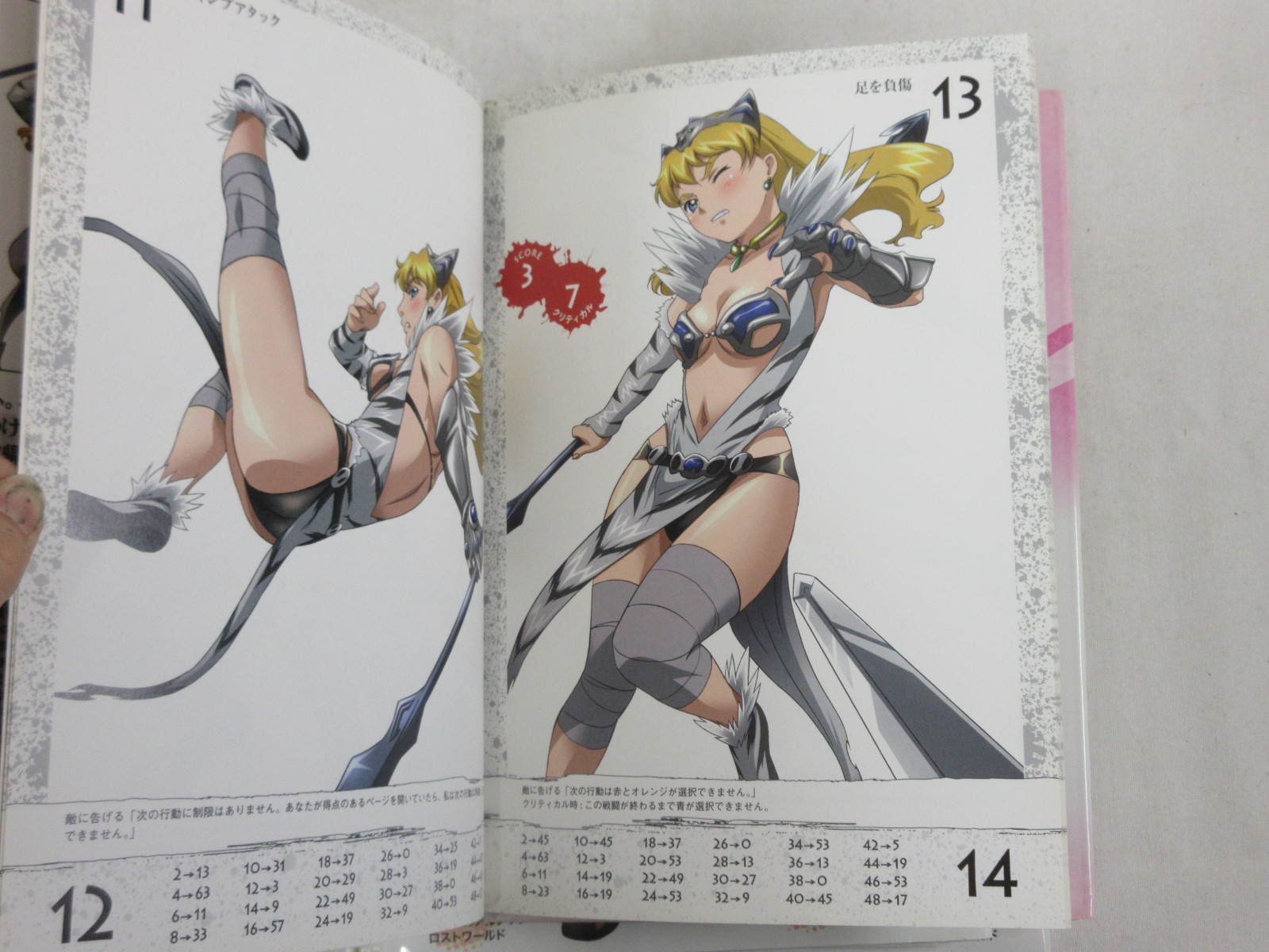 5-Vol Set “Queen’s Blade LOST WORLDS” Japanese Art Anime HB DJ Hobby Japan