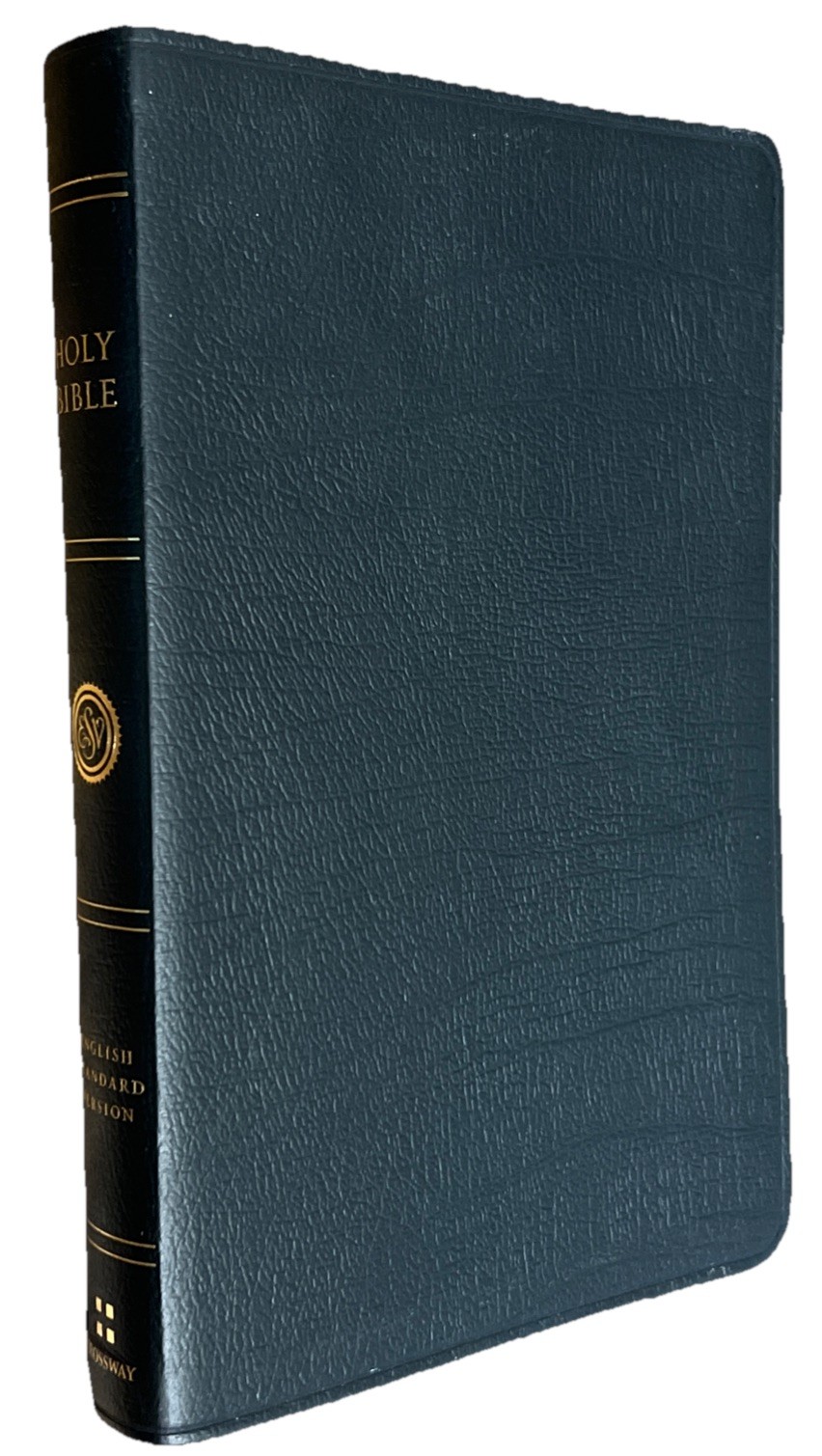 ESV Large Print Thinline Bible (Black Genuine Leather)