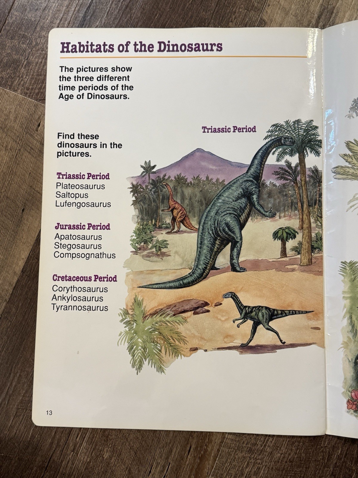 AMAZING DINOSAURS Giant Picture Gallery Book (1992, Ed. Insights, EI-3313) RARE