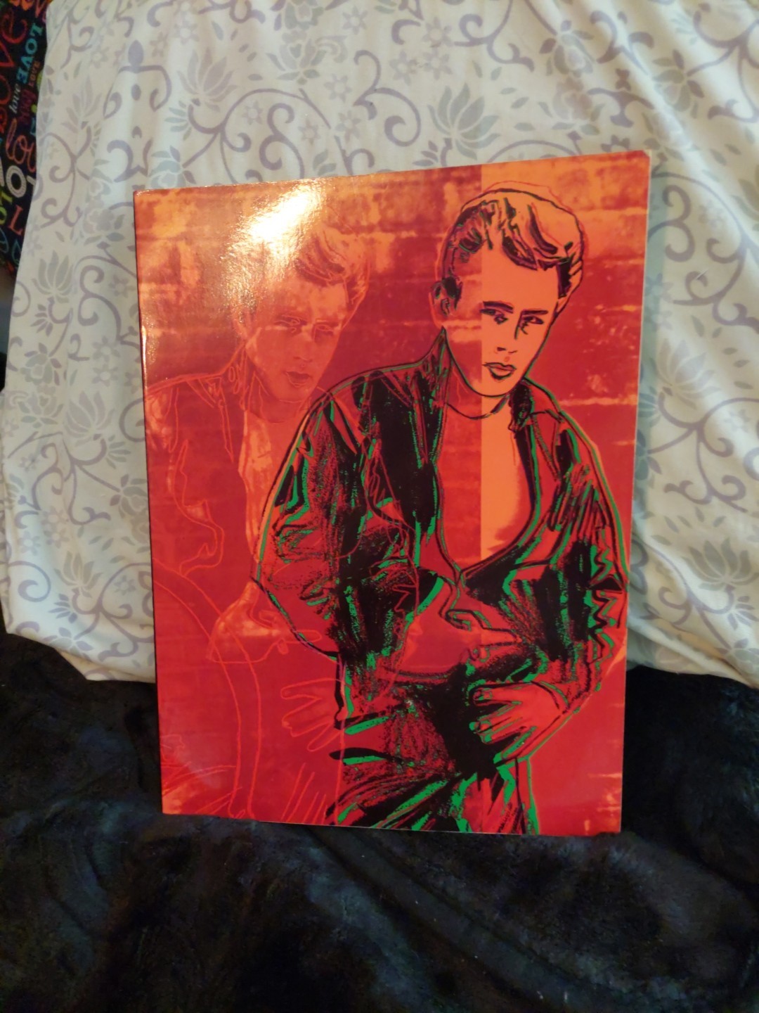 James Dean Books American Icon 285 Pages