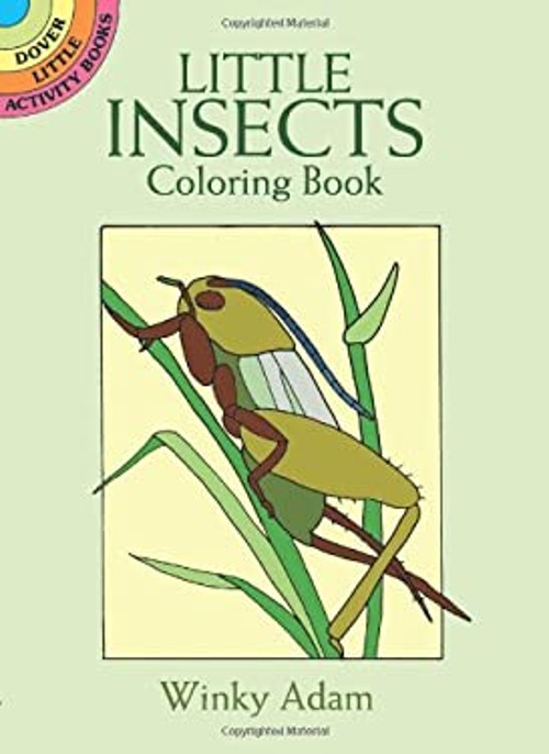 Little Insects Coloring Book Paperback Winky Adam