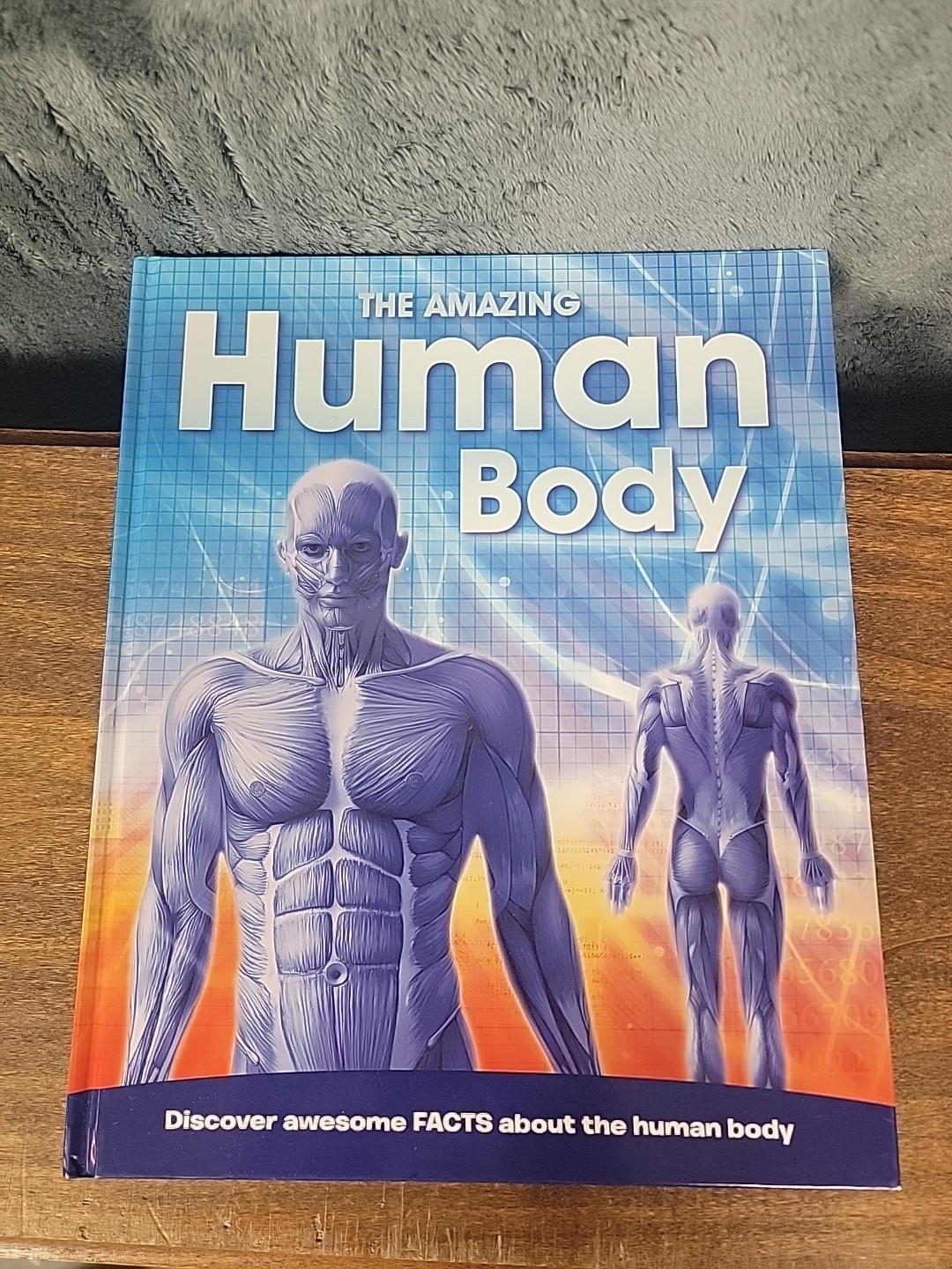 Amazing Human Body by Igloo Igloo Books (2019, Hardcover)