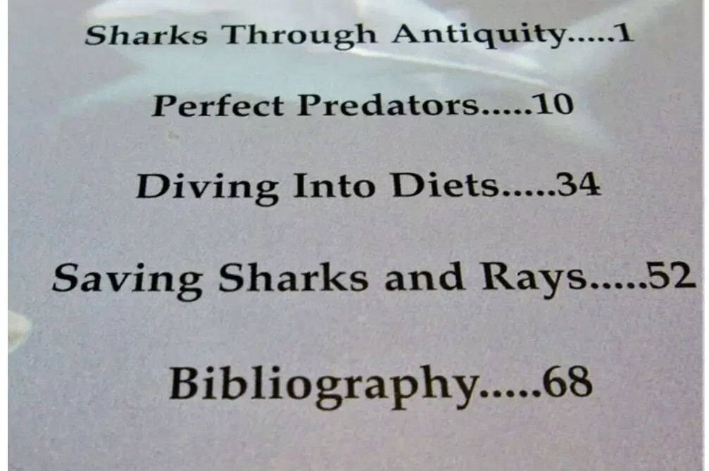 Sharks and Rays : From Fear to Fascination by Loran Wlodarski Paperback 70 Pages