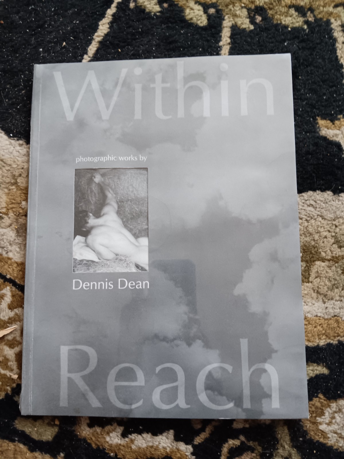Within Reach Dennis Dean Gay Nude Male Art Photo Book 1st Edition 2001 Sealed