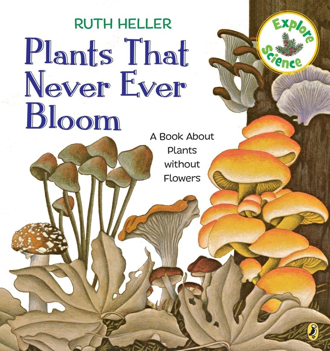 Plants That Never Ever Bloom: A Book About Plants Without Flowers (Explore S…