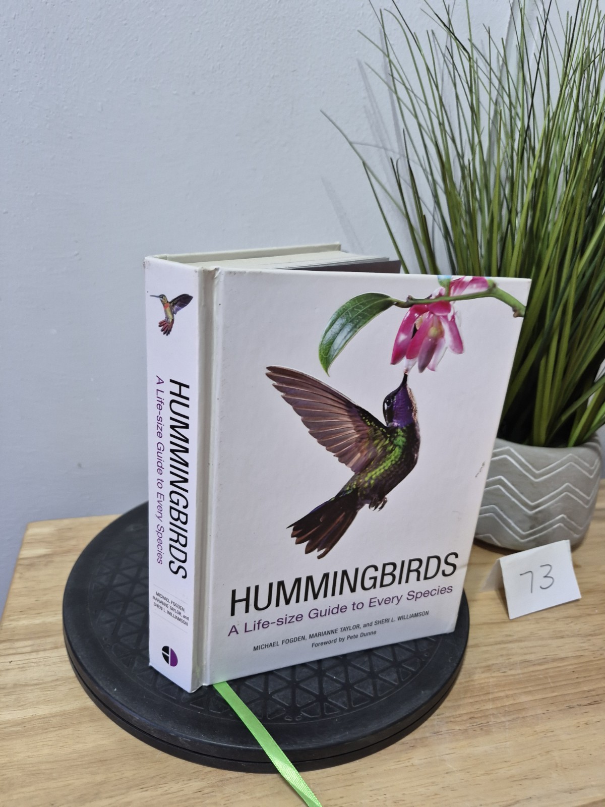 Hummingbirds: A Life-size Guide to Every Species, Fogden, Michael, Taylor, Maria