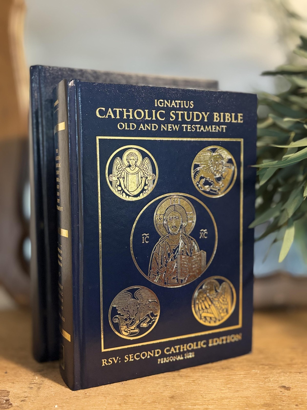 Ignatius Catholic Study Bible Old and New Testament