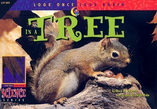 In a Tree; Look Once, Look Again Scienc- 1574712195, paperback, David M Schwartz