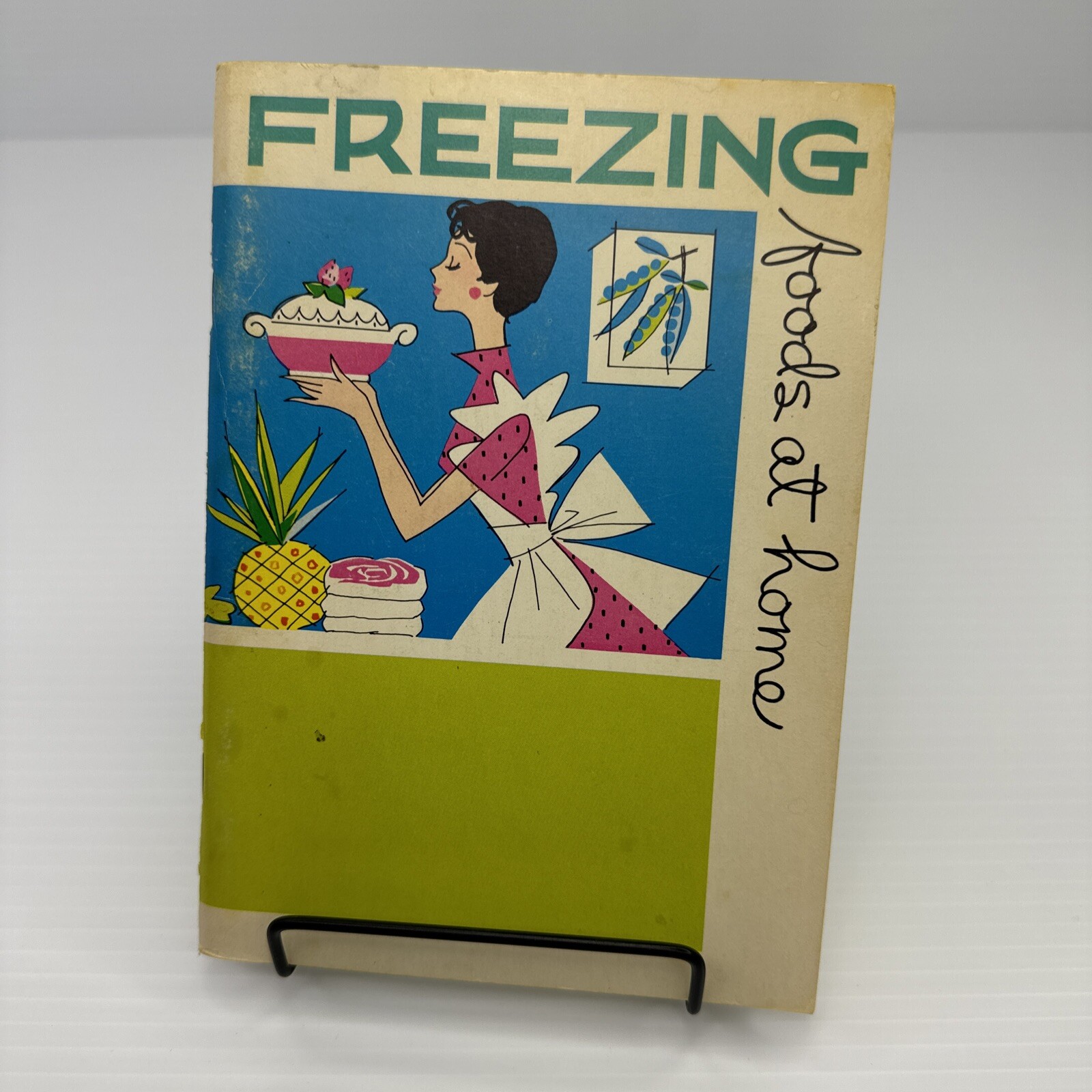 Freezing Foods at Home Shirley Meidinger 1977 Vintage How To Freeze Food Booklet