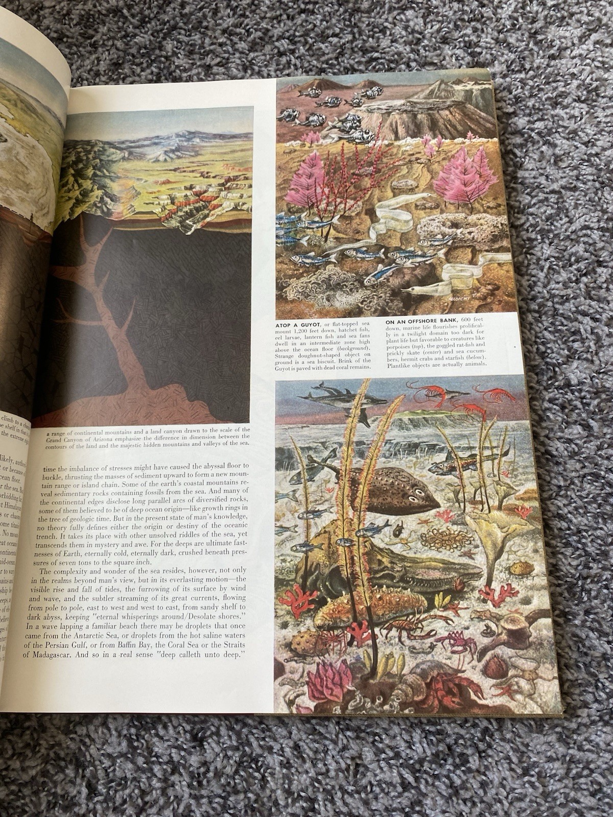 The World We Live In. Time-Life staff. Hardcover 1955. Very large, illustrated.