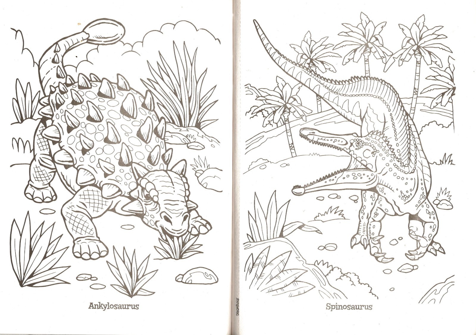 Dreamtivity – Dino Clash! – Coloring Book