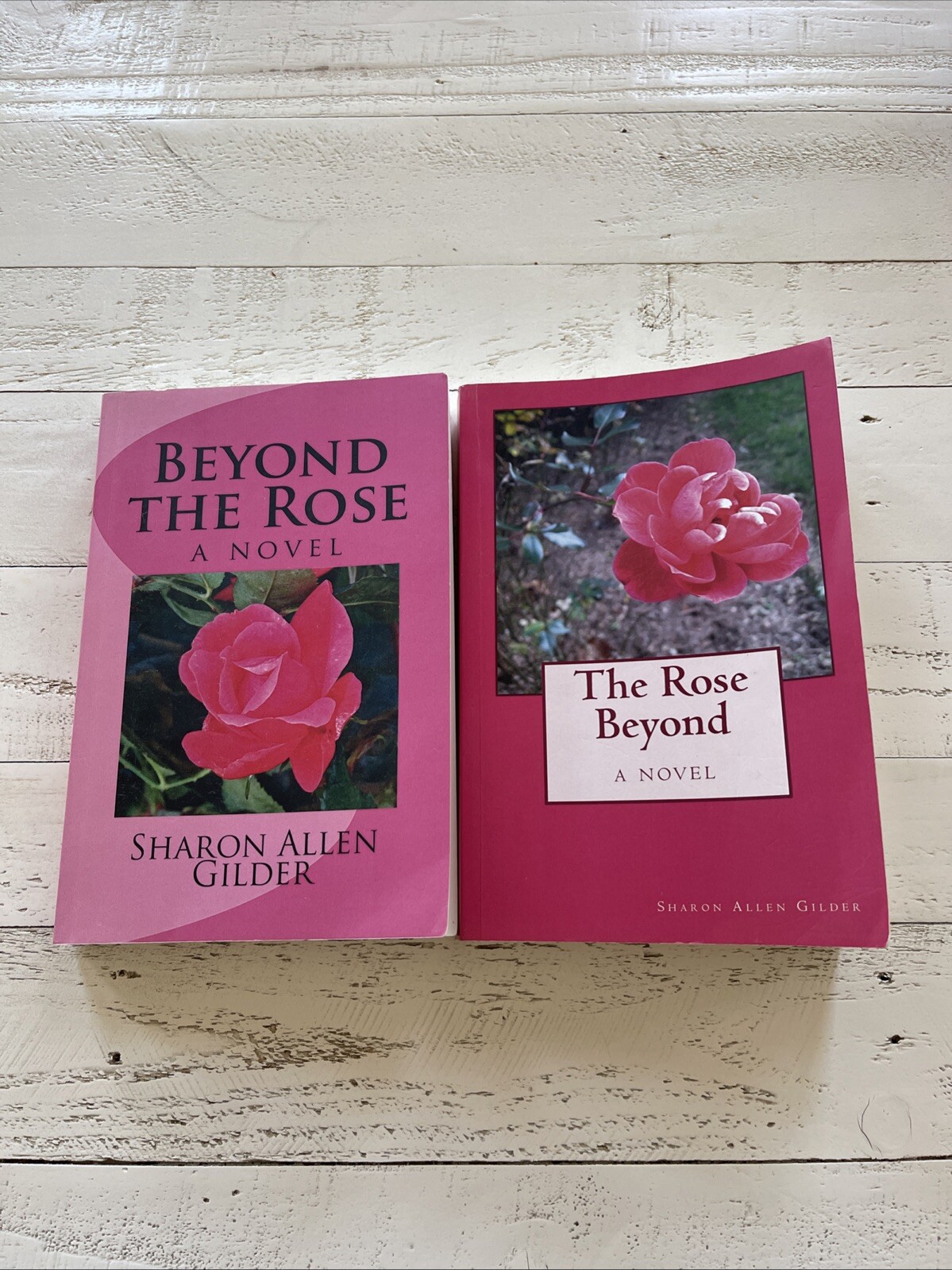 The Rose Beyond & Beyond the Rose Signed by Sharon Allen Gilder Paperback