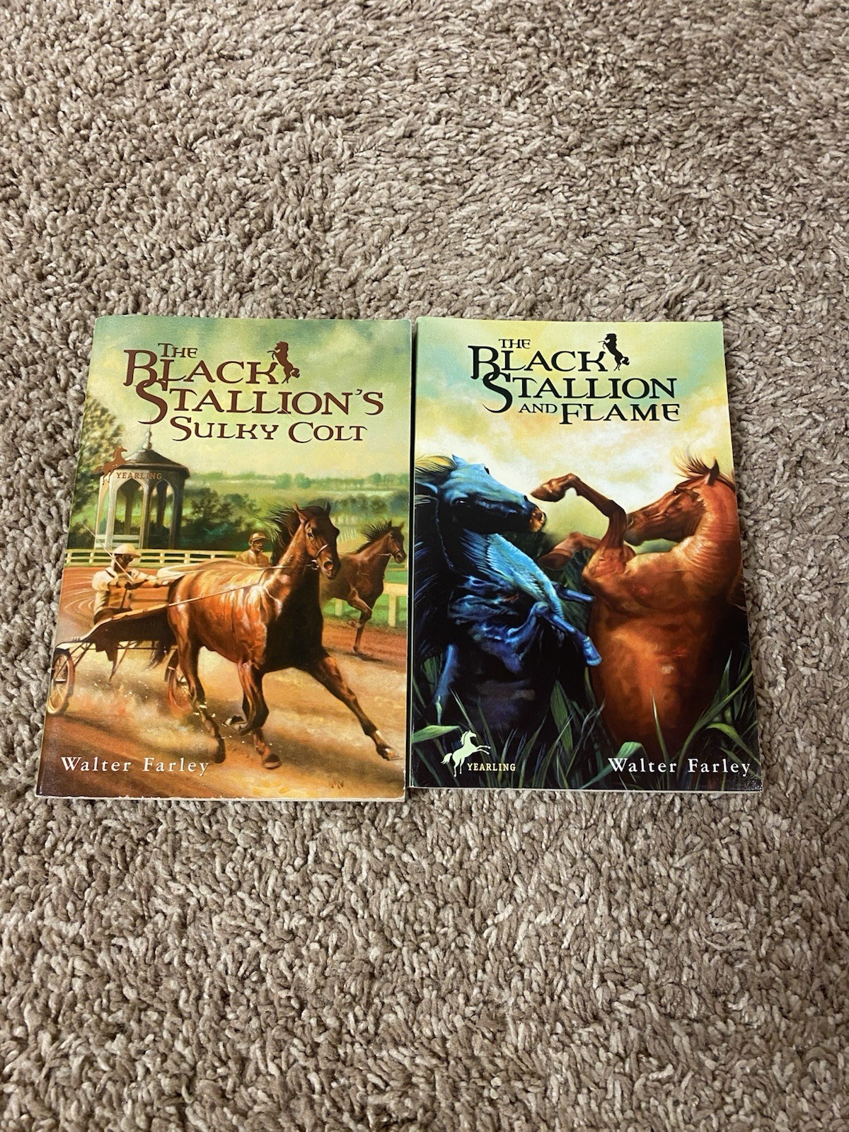 Lot of 12 The Black Stallion Series By Walter Farley Paperback