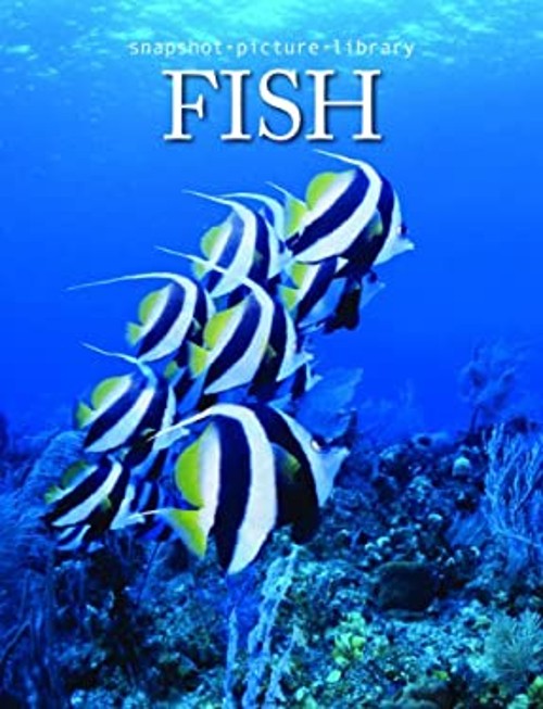 Snapshot Picture Library Fish Weldon Owen
