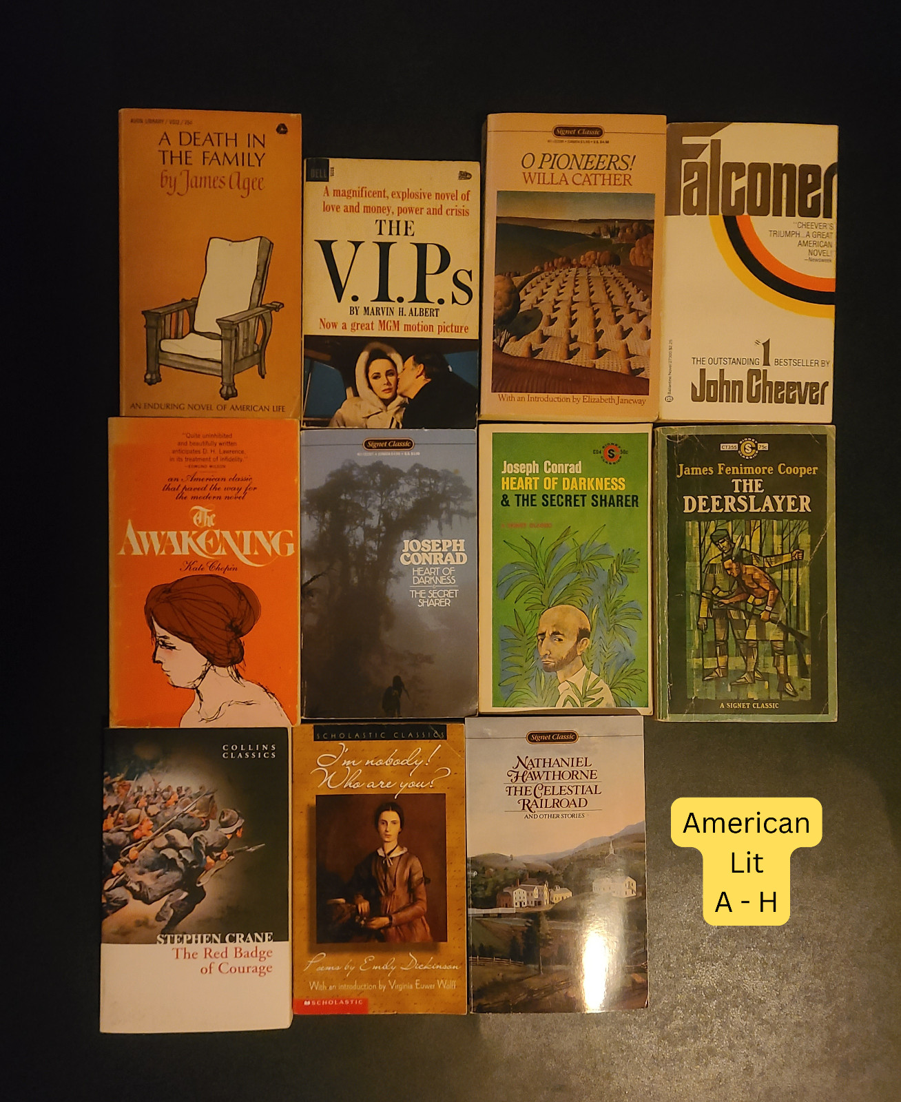Vintage Paperbacks PICK YOUR OWN Set of 10 Classic Literature Steinbeck Austen