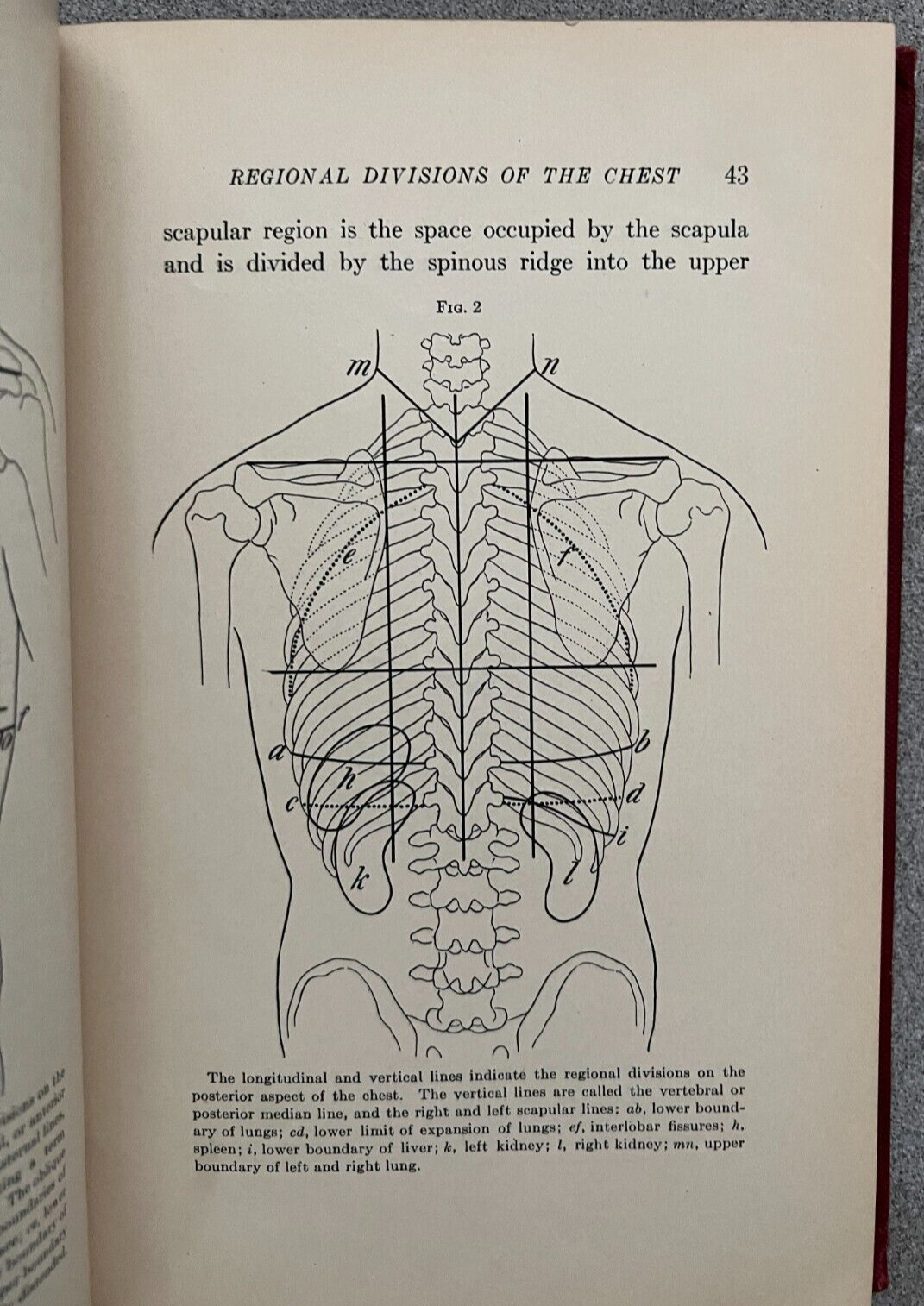 Vintage (1912) Flint’s Physical Diagnosis, 6th Edition by Emerson