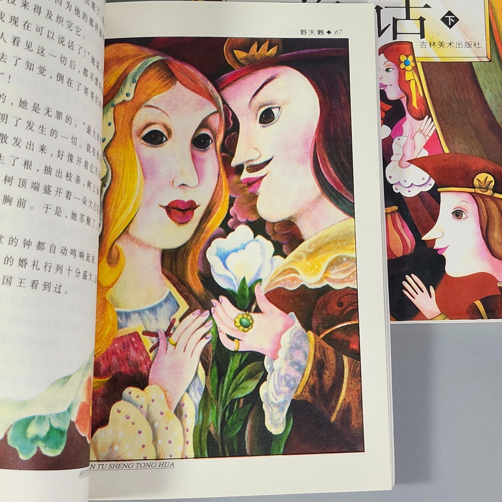 Chinese Text Home School Reading Childrens Books Grimms Andersens Fairy Tales