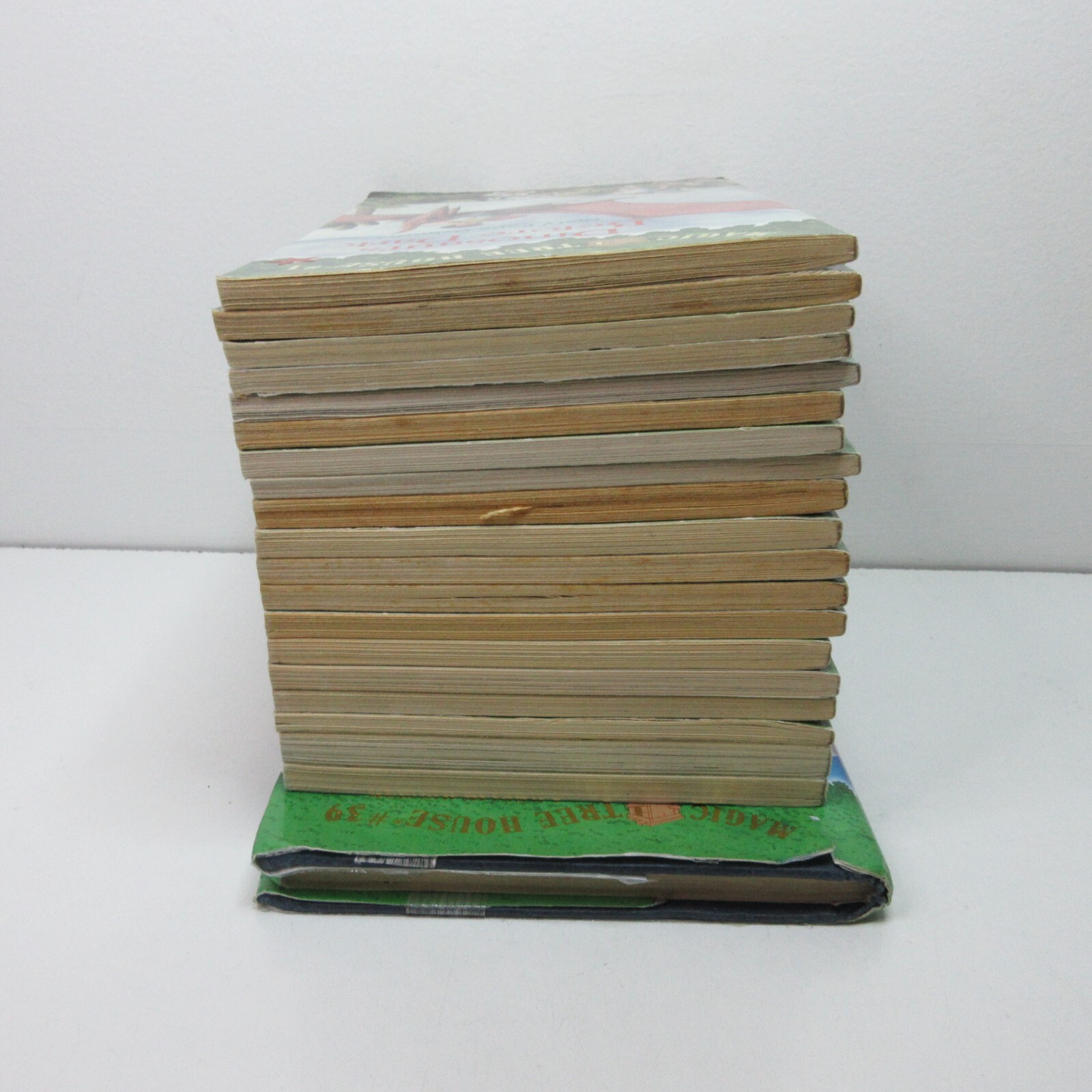 Lot of 20 Magic Tree House Hardcover & Paperback Books By Mary Pope Osborne