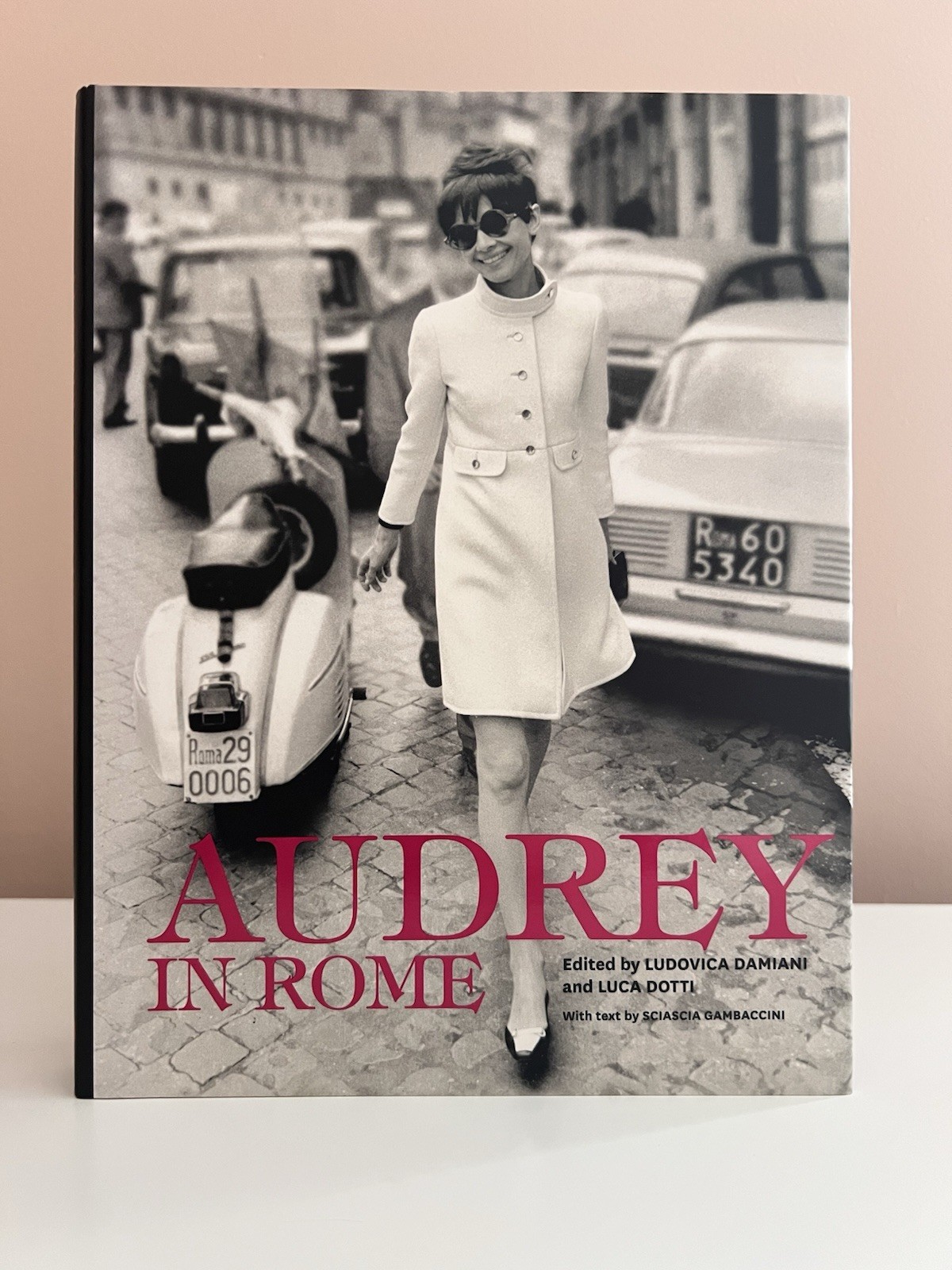 Audrey in Rome -Hardcover By Ludovica Damiani and Luca Dotti 2012 Audrey Hepburn