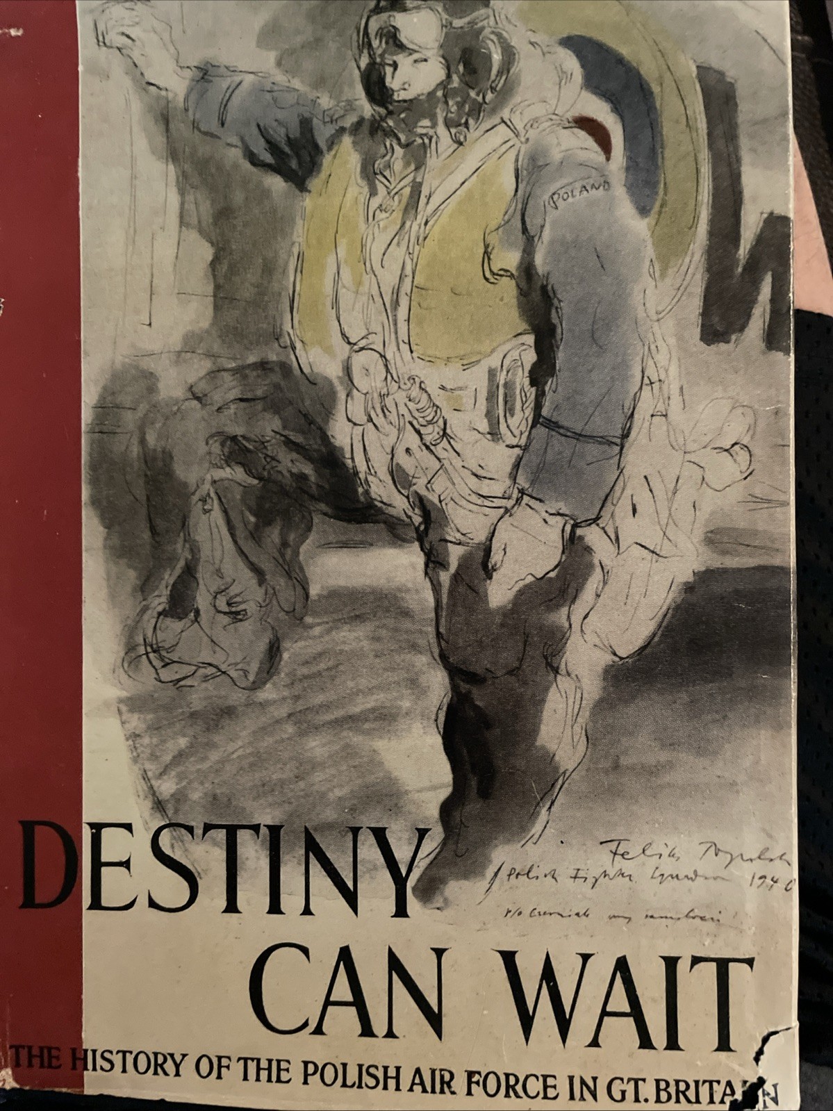 Destiny Can Wait: The Polish Air Force in World War II